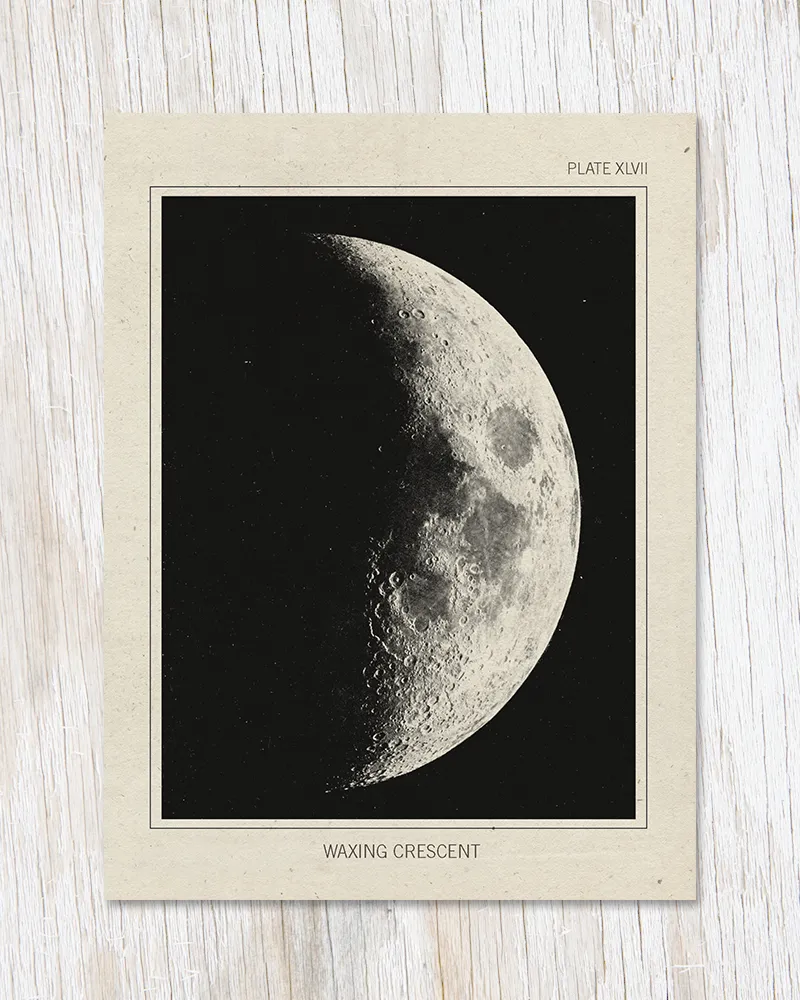 Card - The Moon