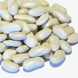 Organic to the Root Haricot Beans - 500g
