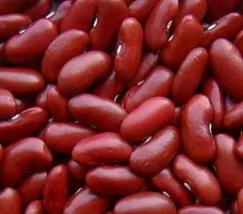Organic to the Root Kidney Beans - 500g