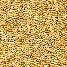 Organic to the Root Millet Grain