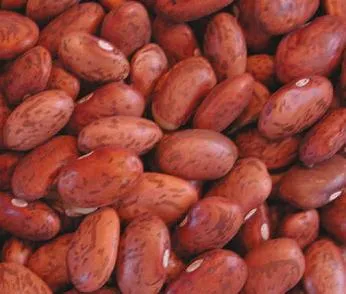 Organic to the Root Pinto Beans - 500g